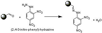 
			Reaction Scheme: 2,4-DNP spot test for solid-supported aldehydes