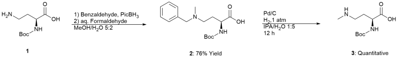 
			Reaction Scheme: A telescoped, selective, mono <em>N</em>-methylation of Boc-DAB-OH via reductive amination using picoline-borane&nbsp;