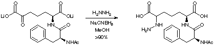 Reaction Scheme