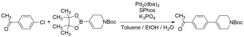 Image for article C-C cross-coupling reactions of aryl chloride with olefinic boronate